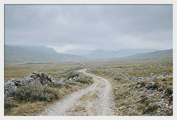 Mountain Shepherd Trail Through Alpine