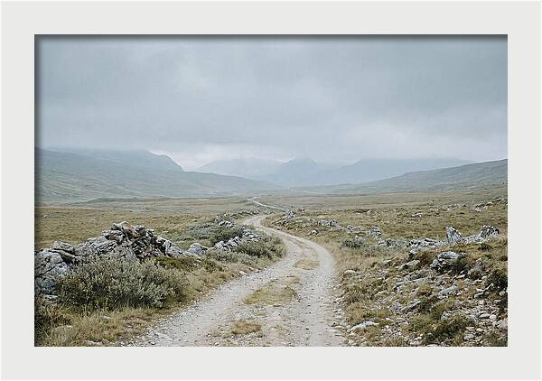 Mountain Shepherd Trail Through Alpine