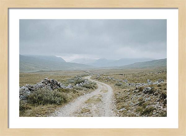 Mountain Shepherd Trail Through Alpine