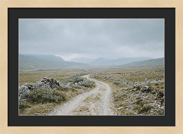 Mountain Shepherd Trail Through Alpine