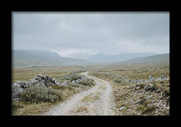 Mountain Shepherd Trail Through Alpine
