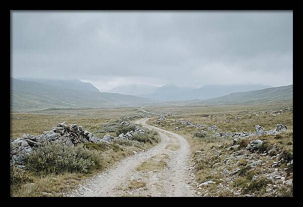 Mountain Shepherd Trail Through Alpine
