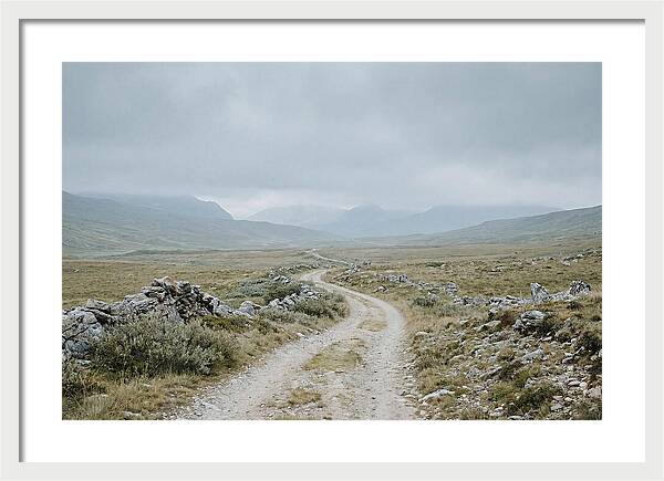 Mountain Shepherd Trail Through Alpine
