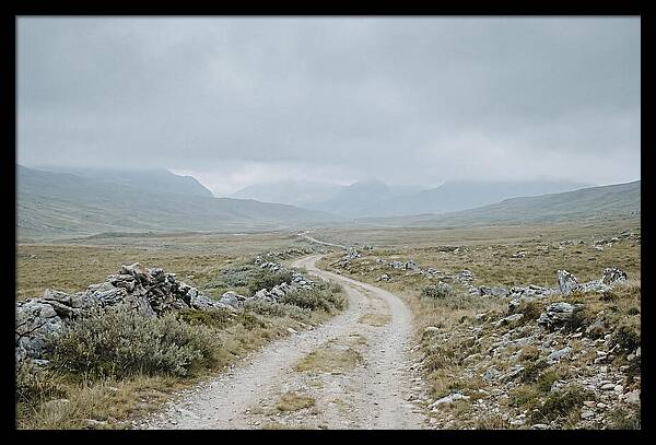 Mountain Shepherd Trail Through Alpine