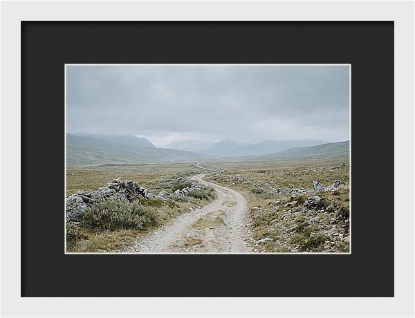 Mountain Shepherd Trail Through Alpine