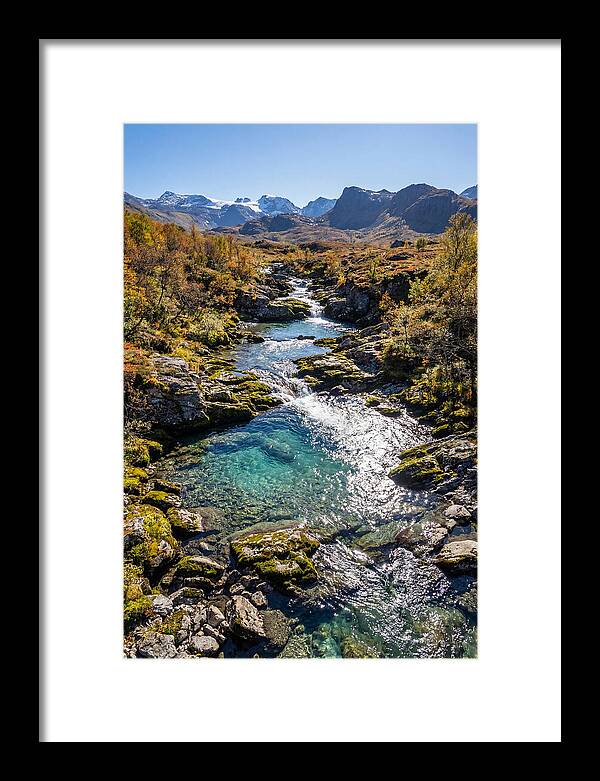 Mountain Stream Serenity