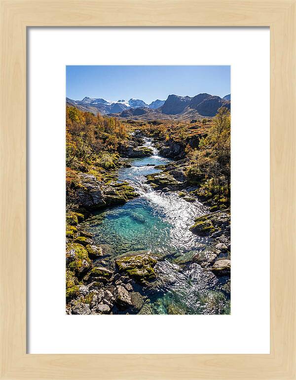 Mountain Stream Serenity