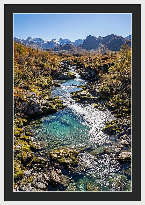 Mountain Stream Serenity