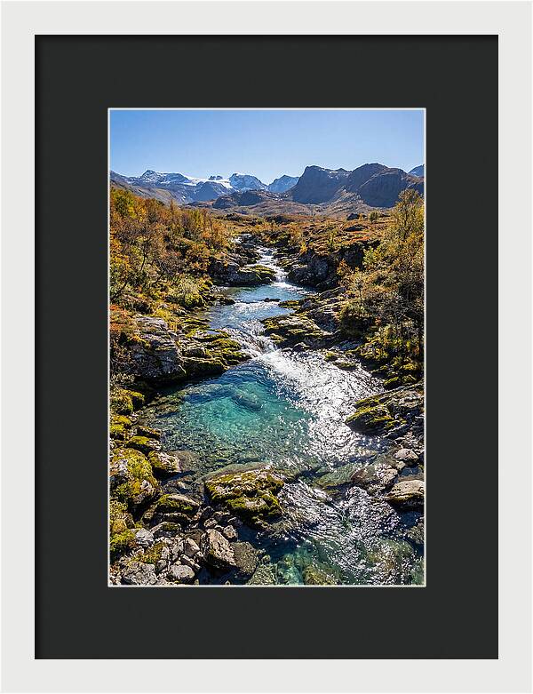 Mountain Stream Serenity