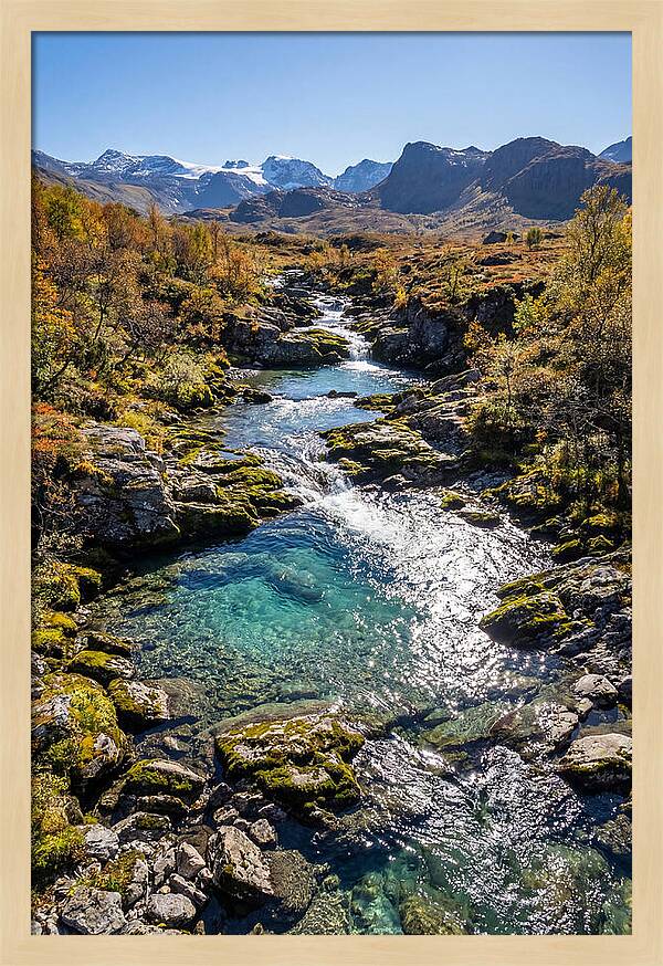 Mountain Stream Serenity