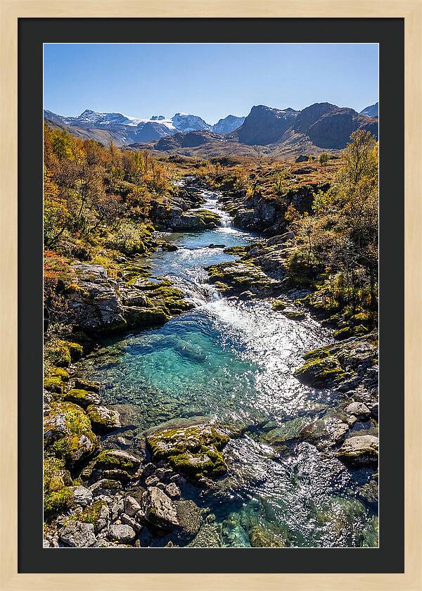 Mountain Stream Serenity