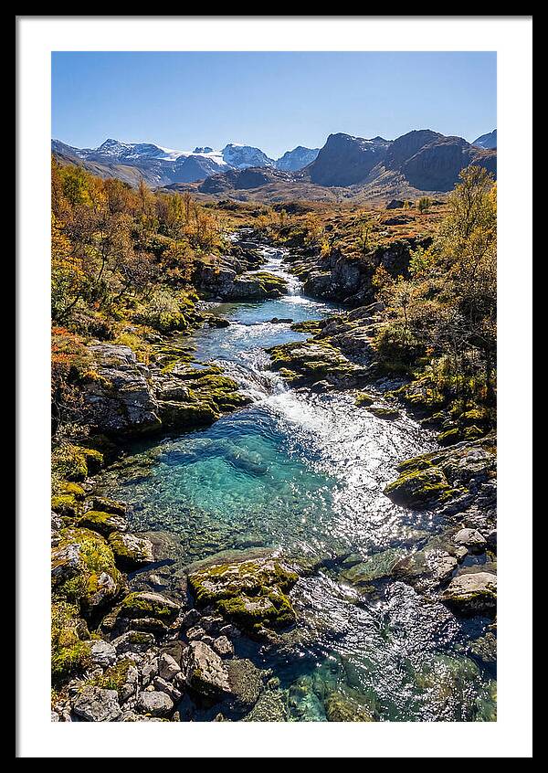 Mountain Stream Serenity