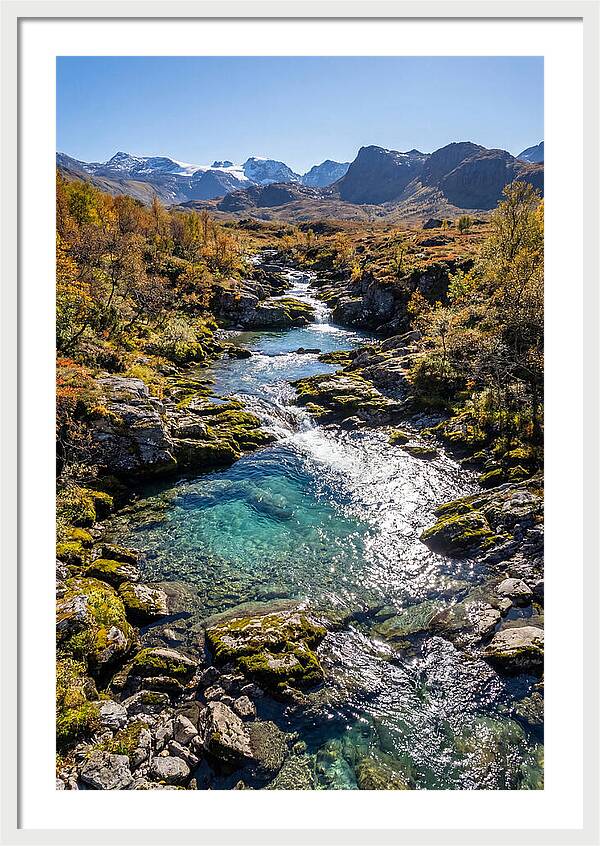 Mountain Stream Serenity