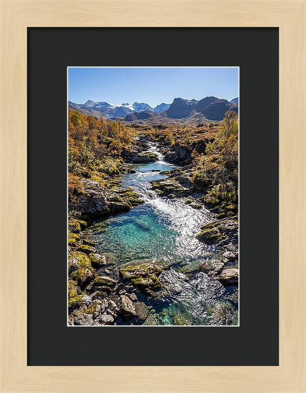 Mountain Stream Serenity