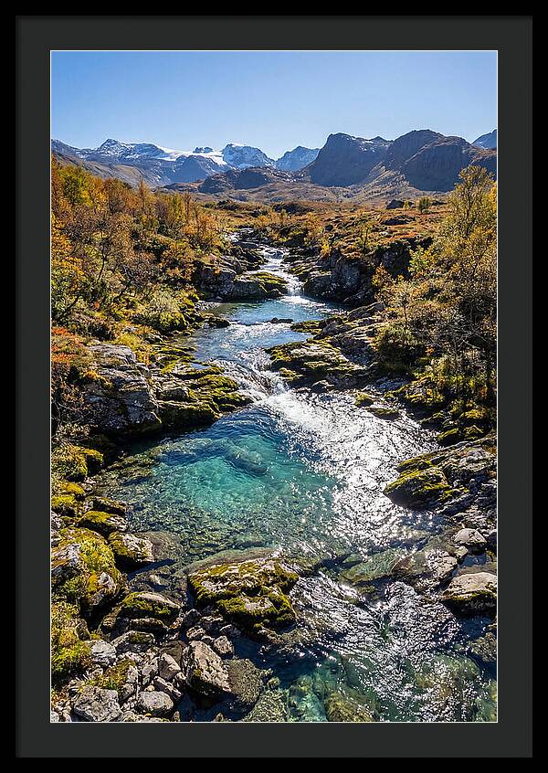 Mountain Stream Serenity