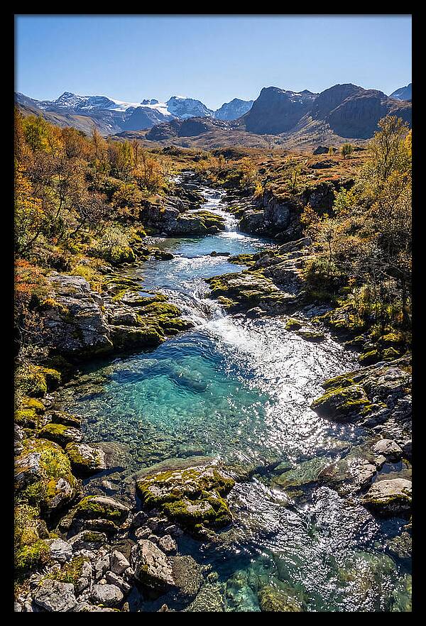 Mountain Stream Serenity