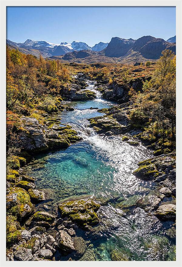 Mountain Stream Serenity