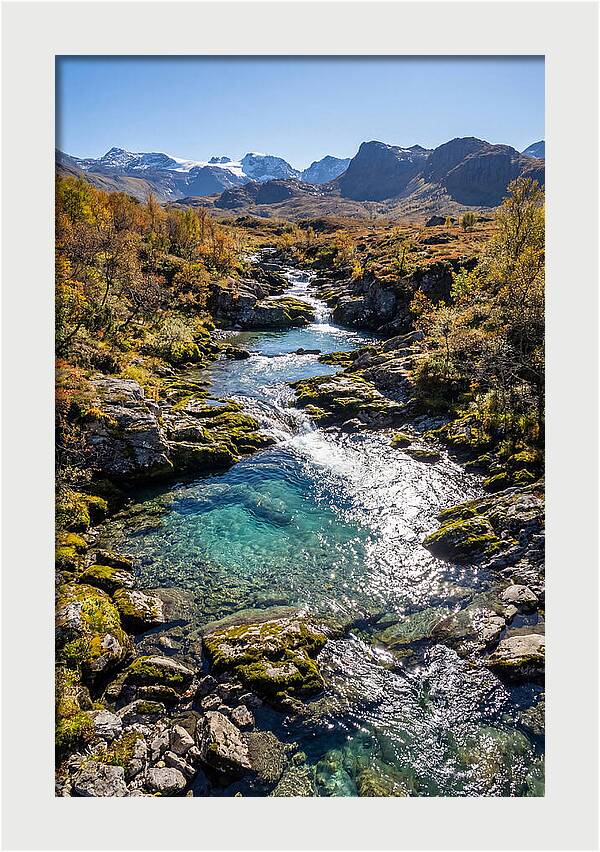 Mountain Stream Serenity