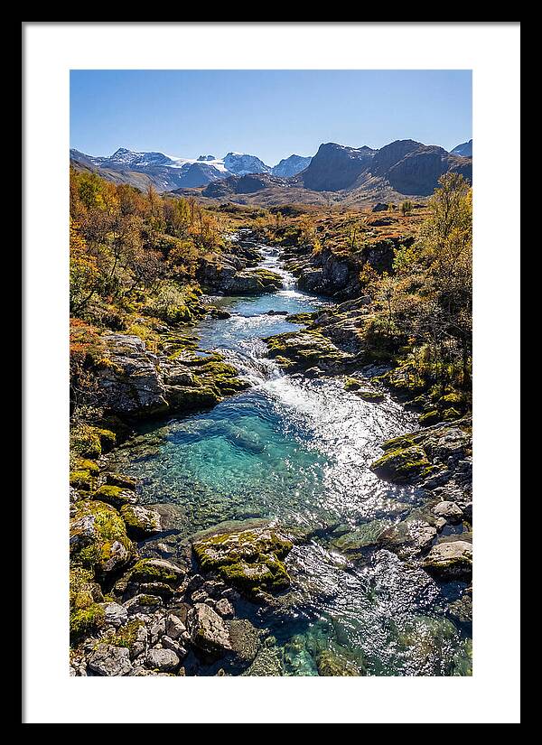 Mountain Stream Serenity