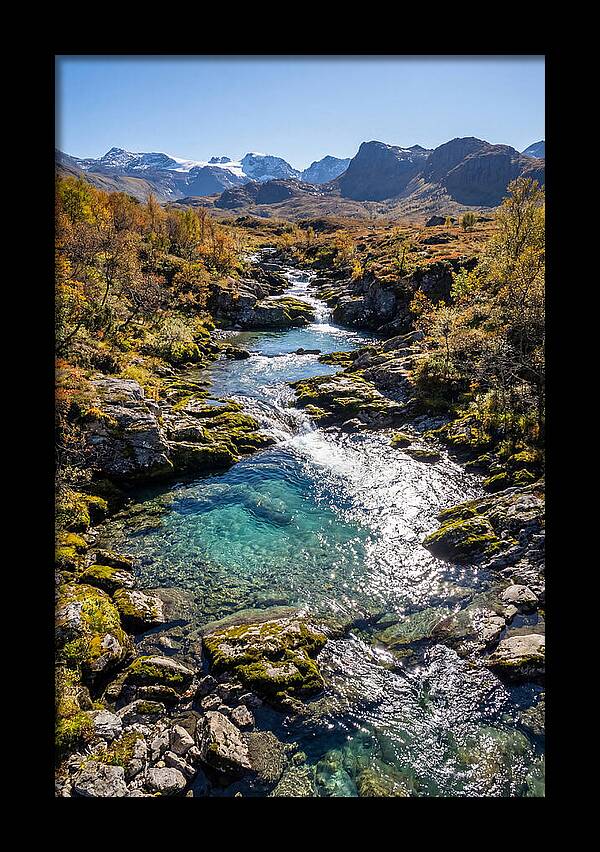 Mountain Stream Serenity