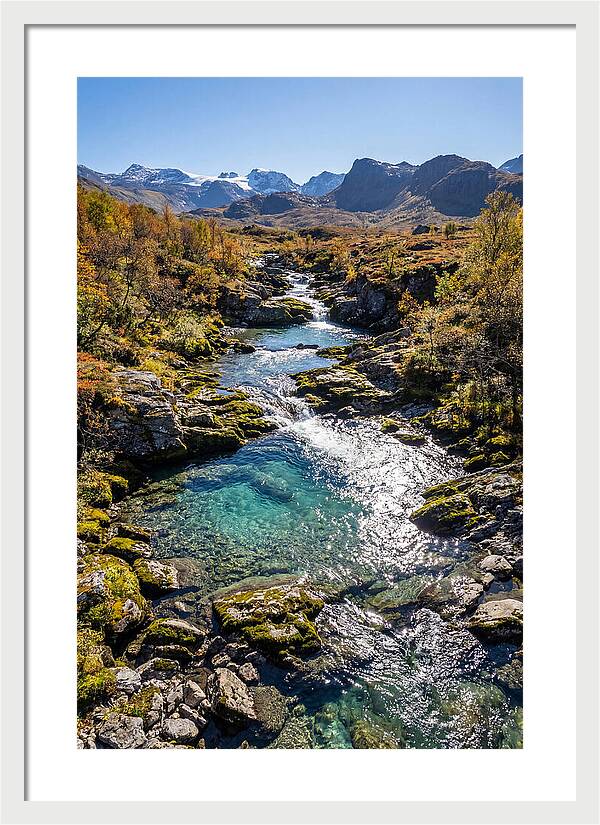 Mountain Stream Serenity