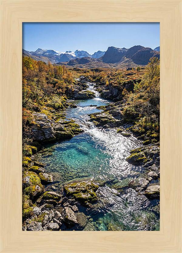 Mountain Stream Serenity
