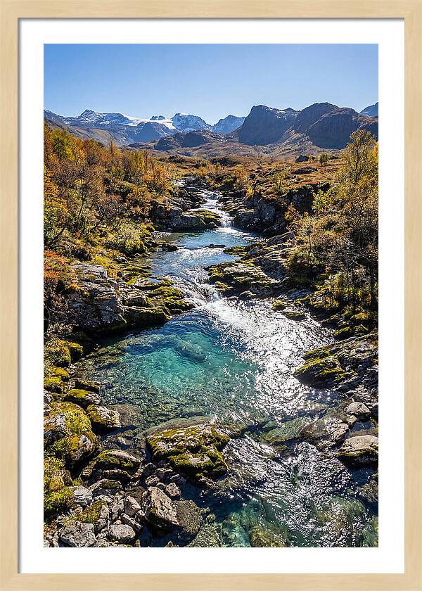 Mountain Stream Serenity