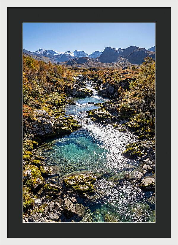 Mountain Stream Serenity