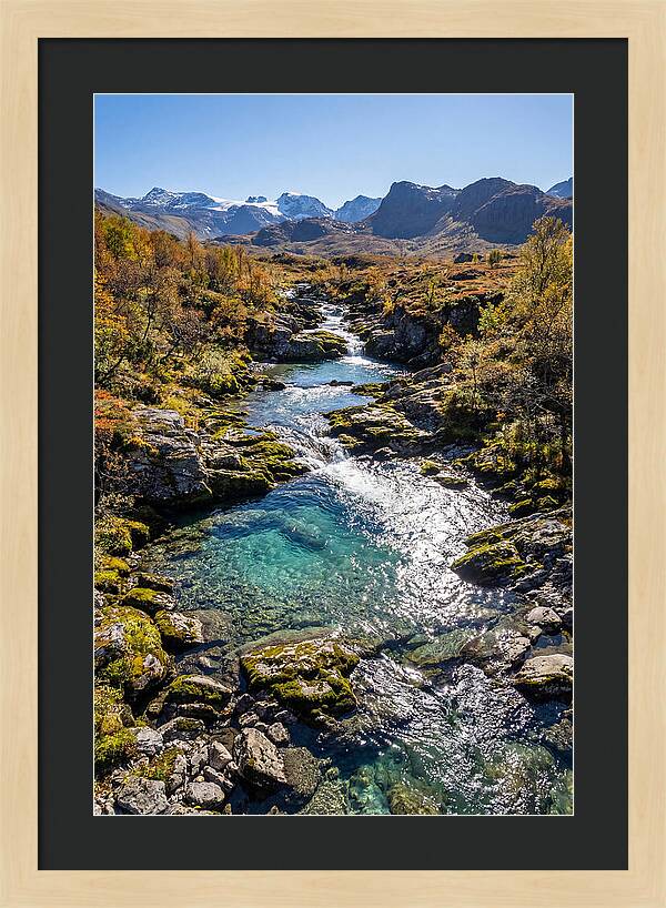 Mountain Stream Serenity