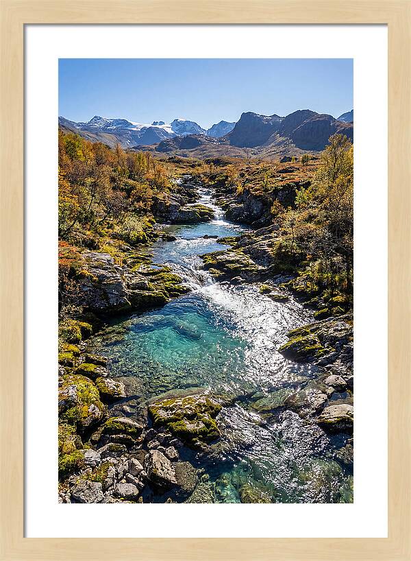 Mountain Stream Serenity