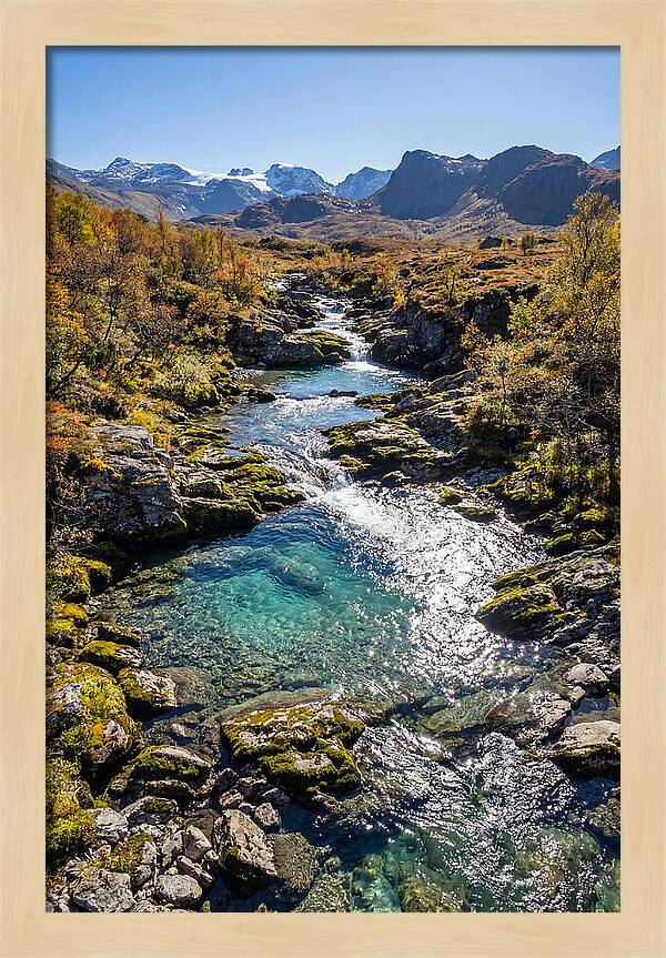 Mountain Stream Serenity