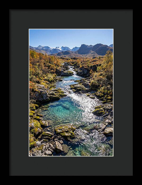 Mountain Stream Serenity