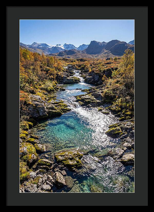 Mountain Stream Serenity