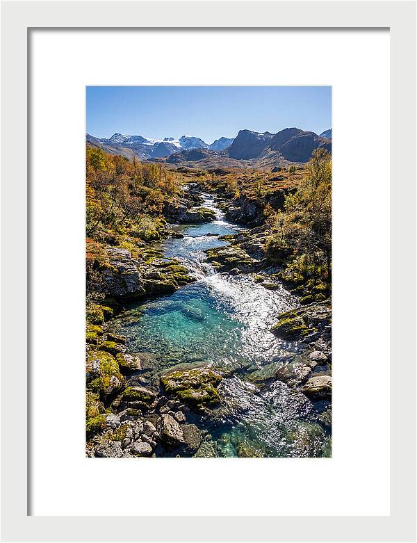 Mountain Stream Serenity