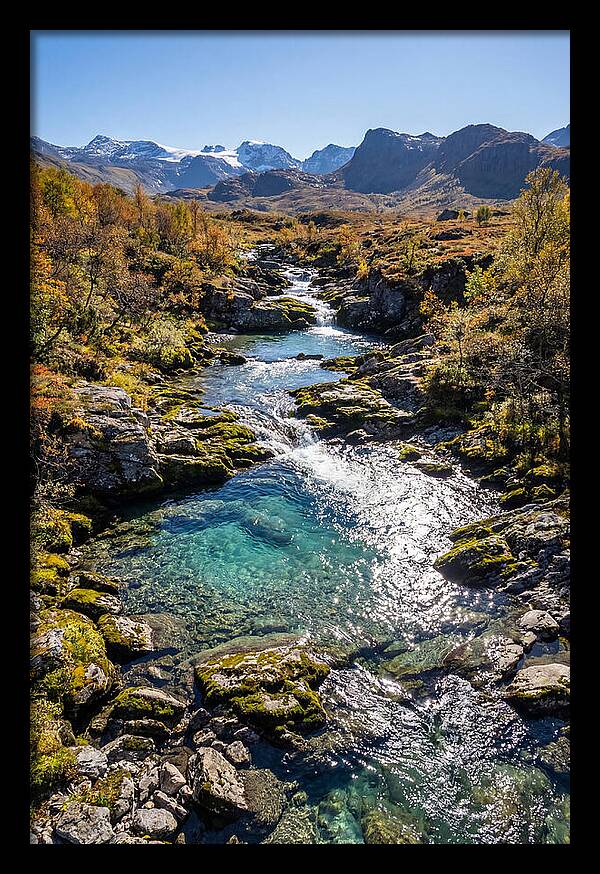 Mountain Stream Serenity