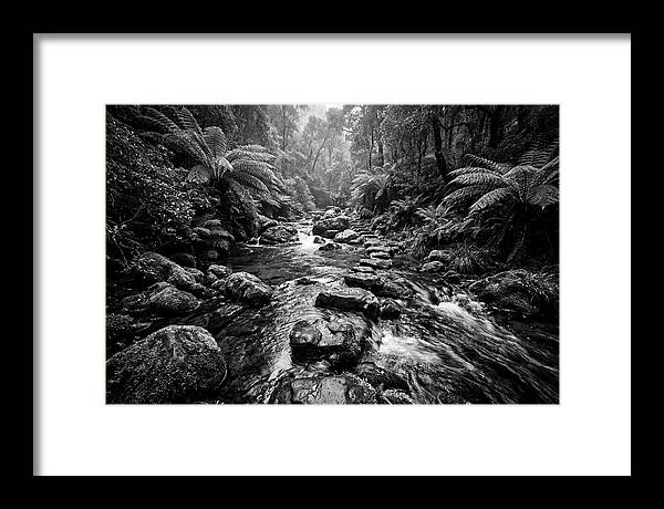 Mountain Stream Serenity