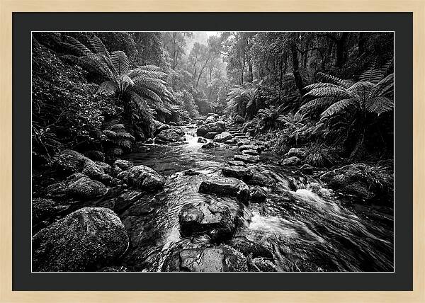Mountain Stream Serenity