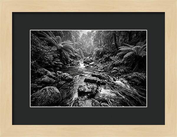 Mountain Stream Serenity