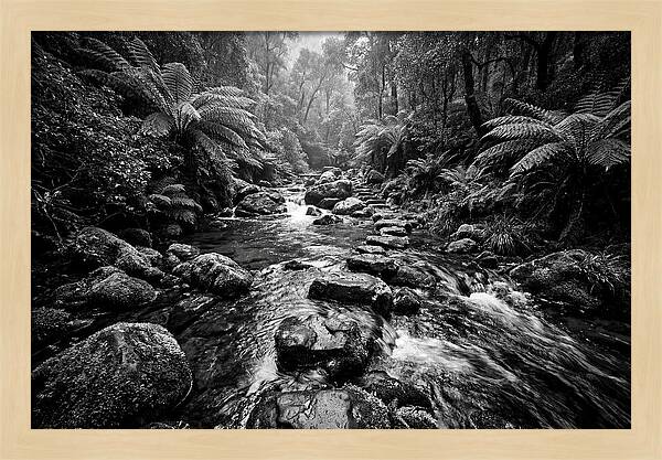 Mountain Stream Serenity
