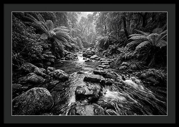 Mountain Stream Serenity