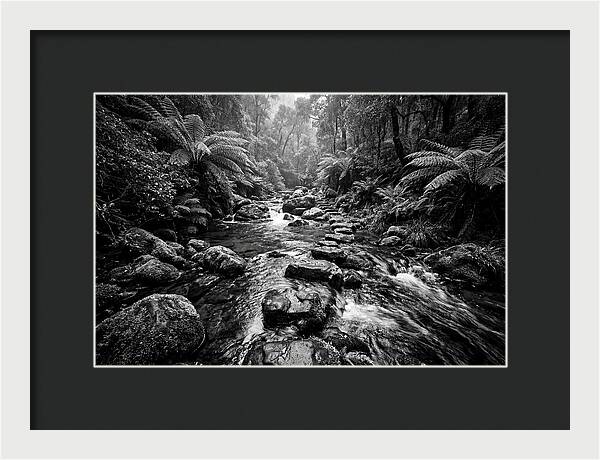 Mountain Stream Serenity