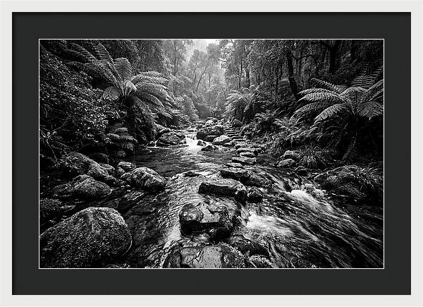 Mountain Stream Serenity