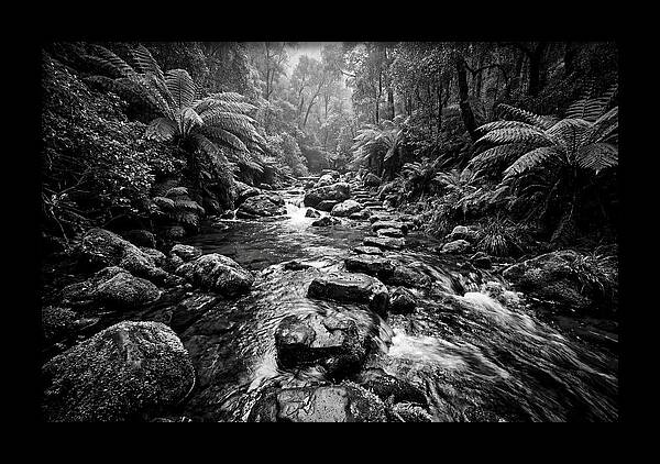 Mountain Stream Serenity
