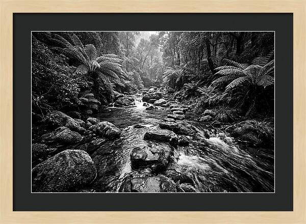 Mountain Stream Serenity