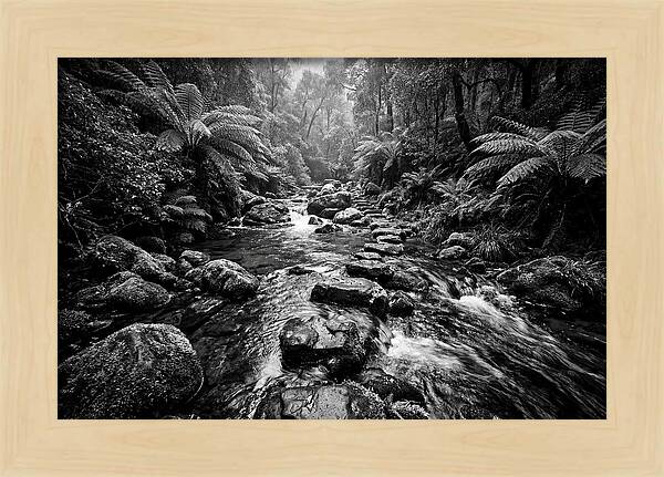 Mountain Stream Serenity