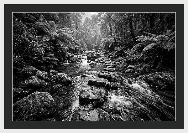 Mountain Stream Serenity