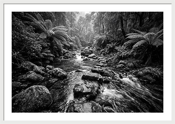 Mountain Stream Serenity