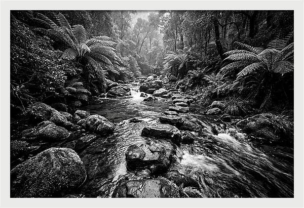 Mountain Stream Serenity