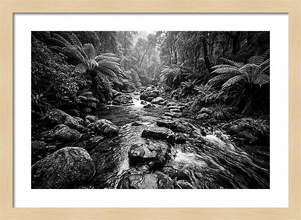 Mountain Stream Serenity