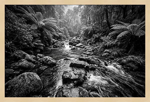 Mountain Stream Serenity
